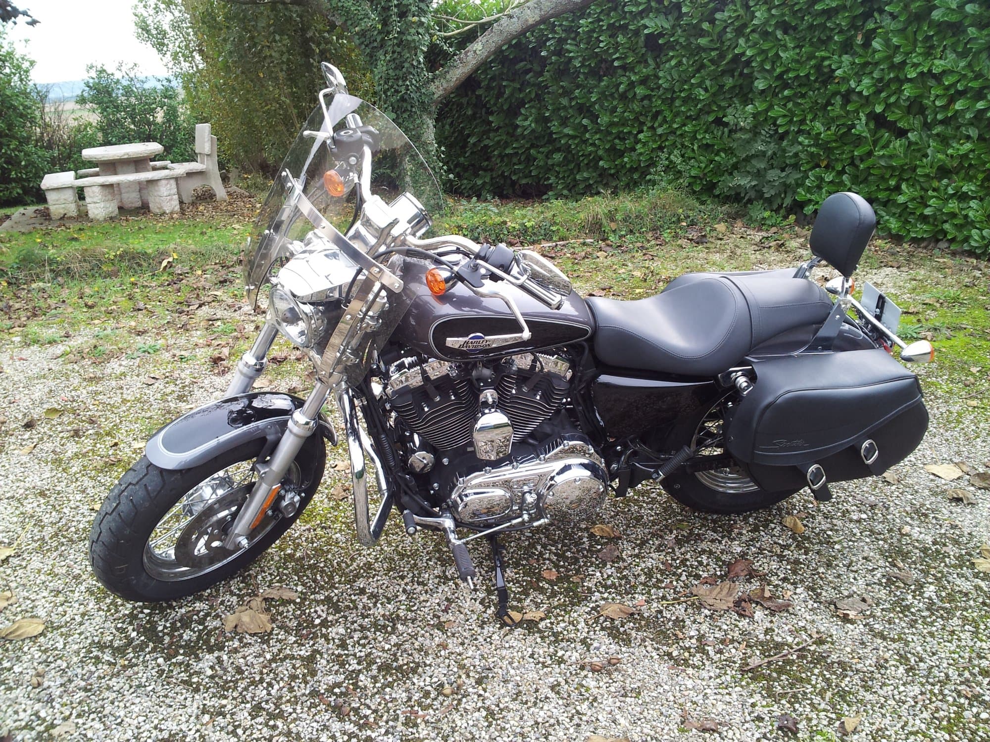 HARLEY SPORSTER XL1200C — photo 1 sur 2